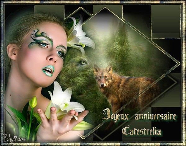 JOYEUX ANNIVERSAIRE CAT 
